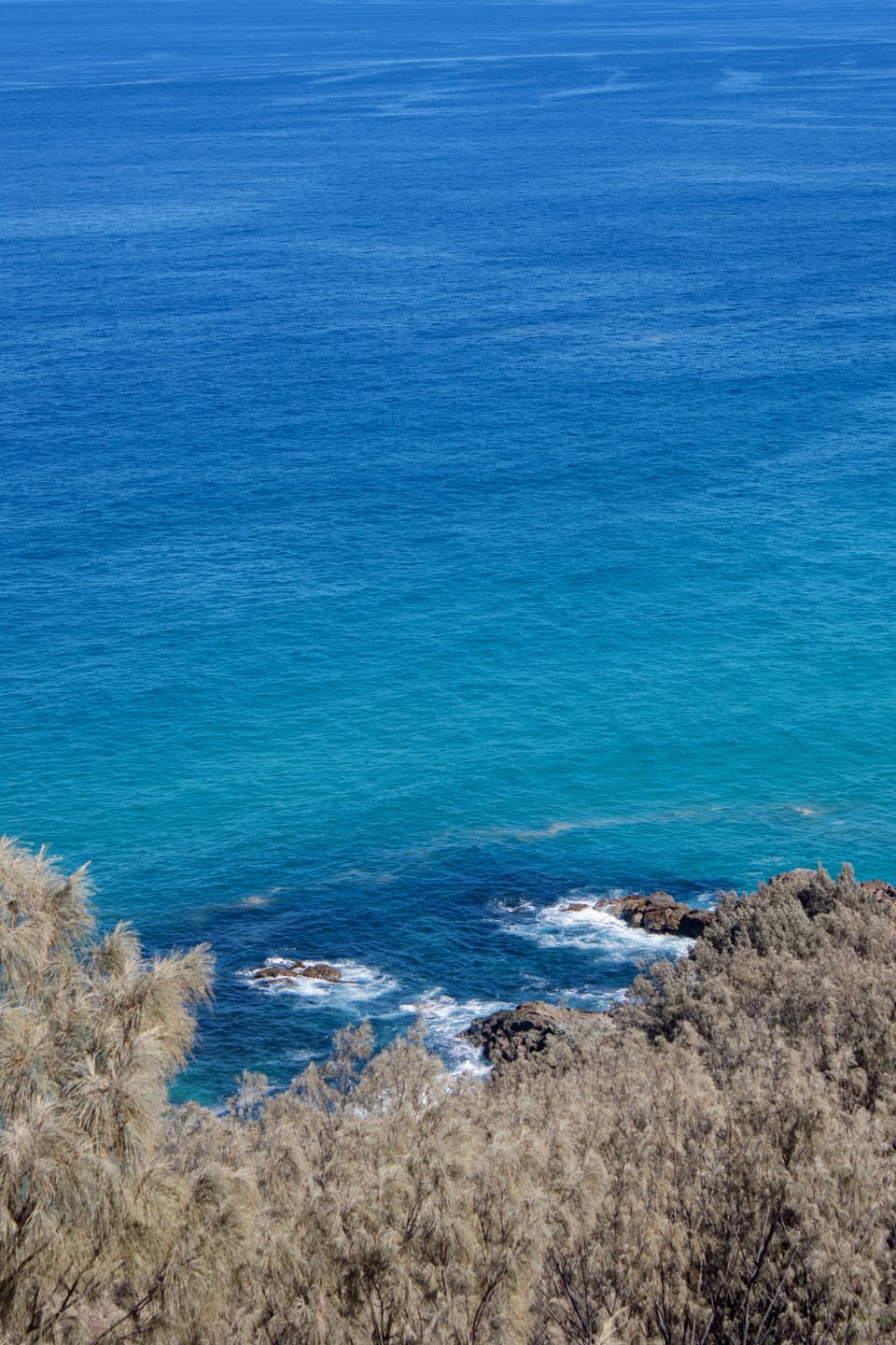 Looking down over casuarina trees to waves washing over dark rocks where turquoise shallows meet deep blue ocean