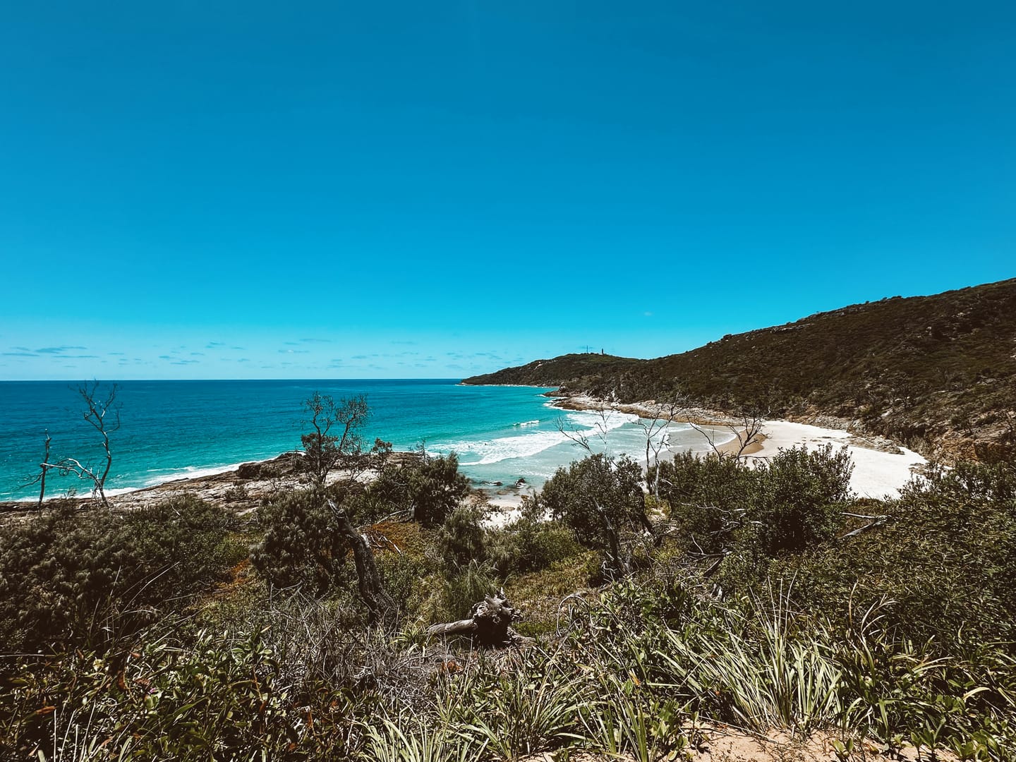 A sheltered cove with white sand and turquoise surf below a scrub-covered headland, framed by windswept trees